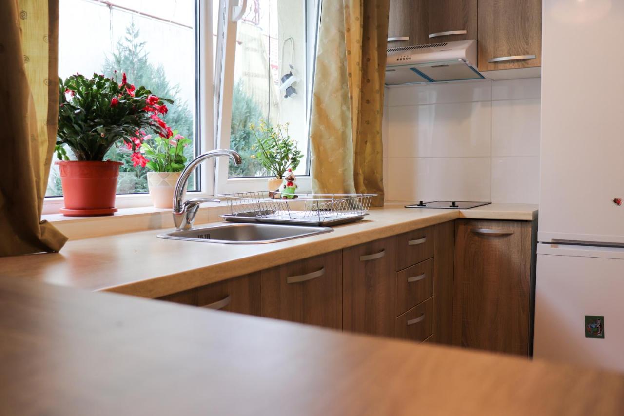 Apartamente Bucegi Rîşnov Extérieur photo